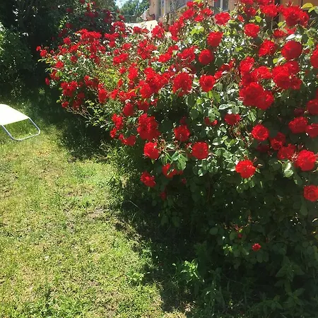 Guest house A Filetta Cozzano