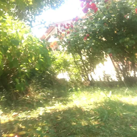 A Filetta